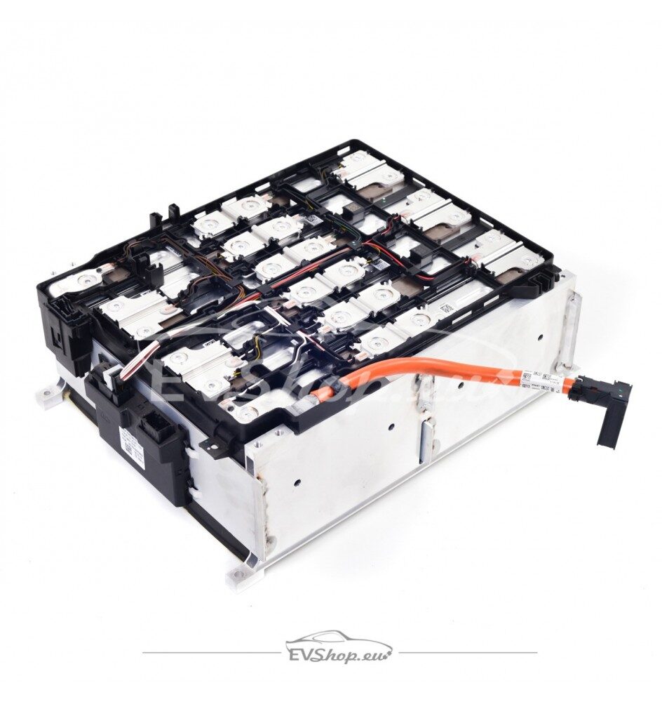 Tesla Model S Module